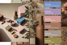 Поступил в продажу цвет года  PANTONE® 17-1230 Mocha Mousse